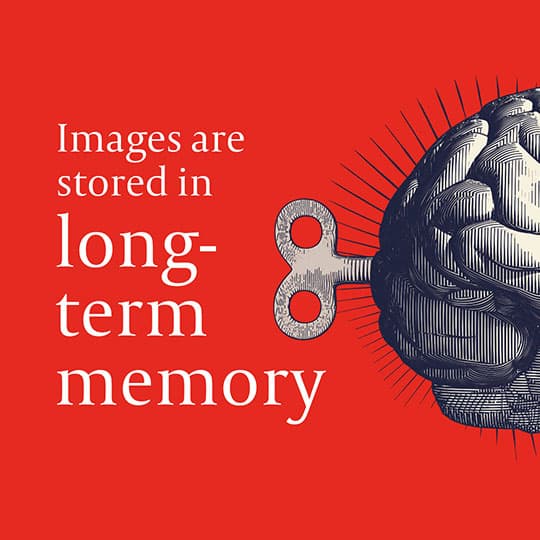 Images are stored in long-term memory