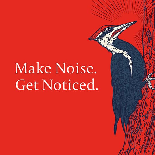 Make Noise. Get Noticed.